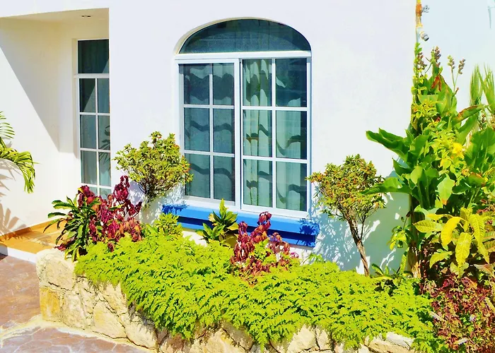 Corales Hotel Puerto Morelos