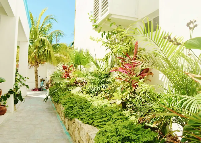 Corales Hotel